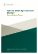 
            Image depicting item named National Smart Specialisation Strategy Consultation Paper