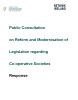 
            Image depicting item named Rethink Ireland Submission