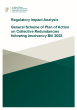 
            Image depicting item named RIA General Scheme of Plan of Action on Collective Redundancies following Insolvency Bill 2023