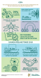 
            Image depicting item named CETA infographic