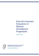 
            Image depicting item named Executive Summary BDP Evaluations