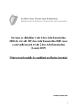 
            Image depicting item named Guidance note on completing the application form - Irish version