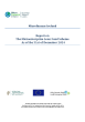 
            Image depicting item named Microfinance Ireland Progress Report Q4 2024