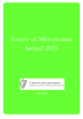 
            Image depicting item named Review of Microfinance Ireland 2015