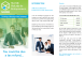 
            Image depicting item named SURE StartUp Refunds for Entrepreneurs Leaflet