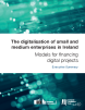 
            Image depicting item named The Digitalisation of small and medium enterprises in Ireland – Executive Summary