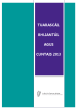 
            Image depicting item named Tuarascáil Bhliantúil agus Cuntais 2013